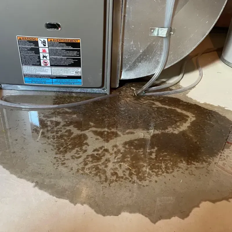 Appliance Leak Cleanup in Tilden, TX